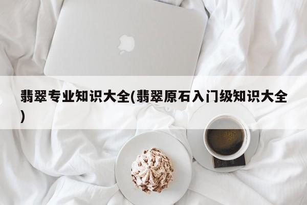 翡翠专业知识大全(翡翠原石入门级知识大全)