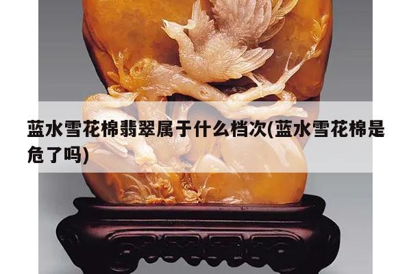 蓝水雪花棉翡翠属于什么档次(蓝水雪花棉是危了吗)