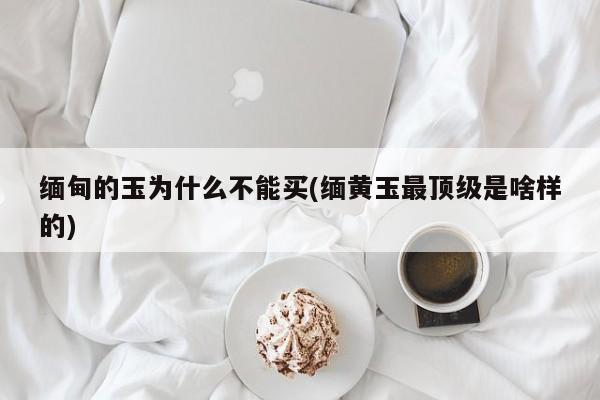 缅甸的玉为什么不能买(缅黄玉最顶级是啥样的)