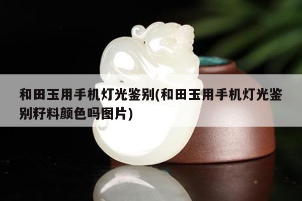 和田玉用手机灯光鉴别(和田玉用手机灯光鉴别籽料颜色吗图片)