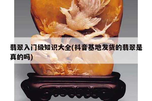 翡翠入门级知识大全(抖音基地发货的翡翠是真的吗)