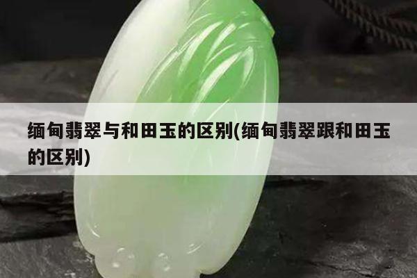 缅甸翡翠与和田玉的区别(缅甸翡翠跟和田玉的区别)