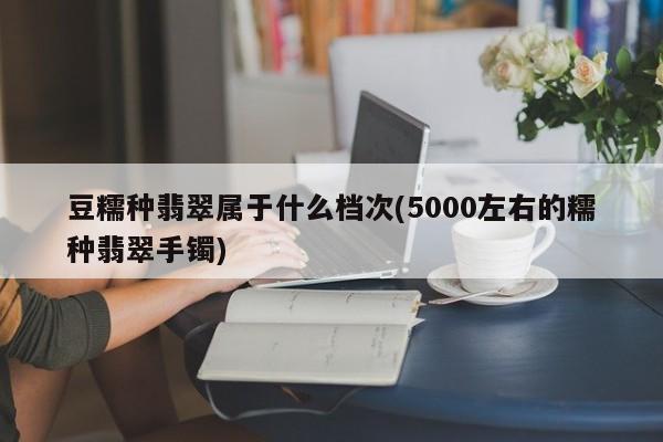 豆糯种翡翠属于什么档次(5000左右的糯种翡翠手镯)