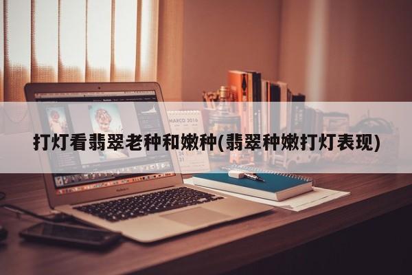 打灯看翡翠老种和嫩种(翡翠种嫩打灯表现)
