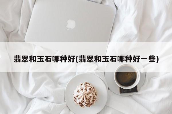 翡翠和玉石哪种好(翡翠和玉石哪种好一些)