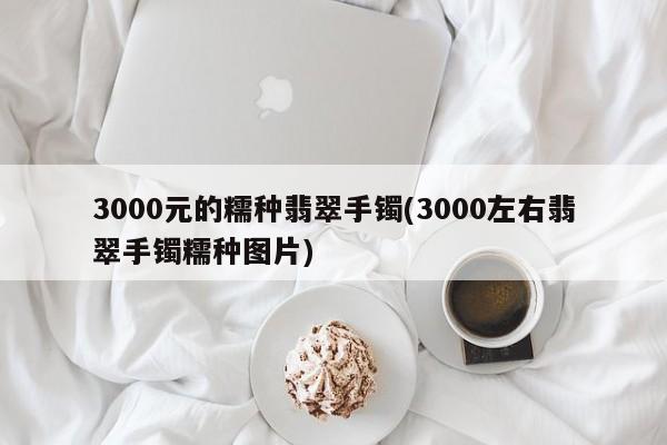 3000元的糯种翡翠手镯(3000左右翡翠手镯糯种图片)