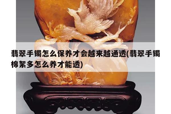 翡翠手镯怎么保养才会越来越通透(翡翠手镯棉絮多怎么养才能透)