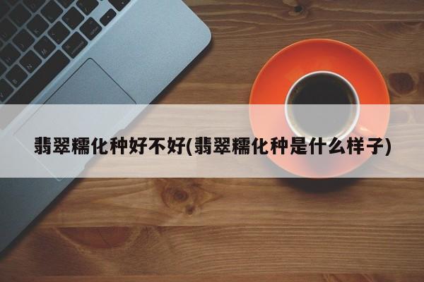 翡翠糯化种好不好(翡翠糯化种是什么样子)