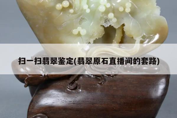 扫一扫翡翠鉴定(翡翠原石直播间的套路)