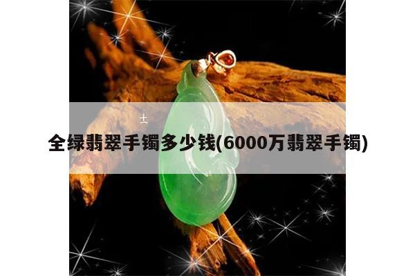 全绿翡翠手镯多少钱(6000万翡翠手镯)