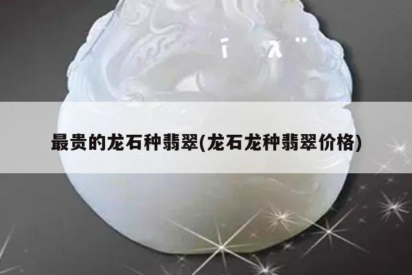 最贵的龙石种翡翠(龙石龙种翡翠价格)