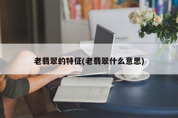老翡翠的特征(老翡翠什么意思)