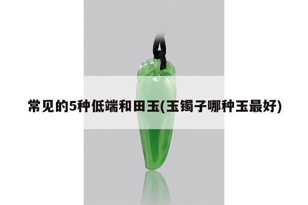 常见的5种低端和田玉(玉镯子哪种玉最好)