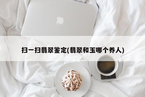 扫一扫翡翠鉴定(翡翠和玉哪个养人)