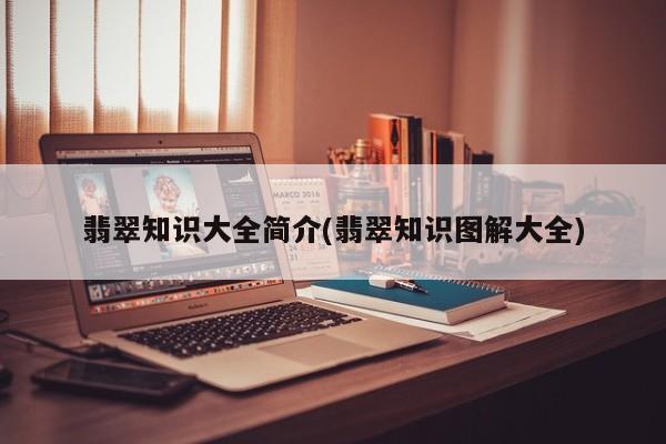 翡翠知识大全简介(翡翠知识图解大全)