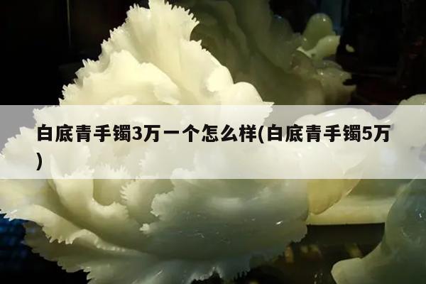 白底青手镯3万一个怎么样(白底青手镯5万)