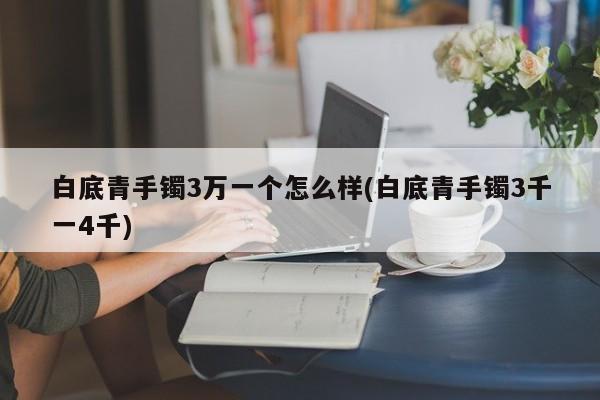 白底青手镯3万一个怎么样(白底青手镯3千一4千)