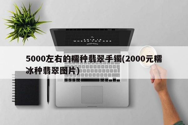 5000左右的糯种翡翠手镯(2000元糯冰种翡翠图片)