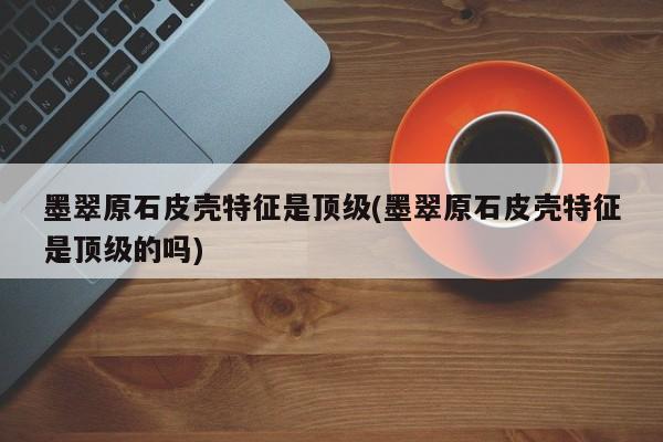 墨翠原石皮壳特征是顶级(墨翠原石皮壳特征是顶级的吗)
