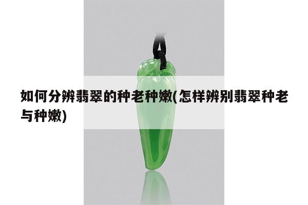 如何分辨翡翠的种老种嫩(怎样辨别翡翠种老与种嫩)