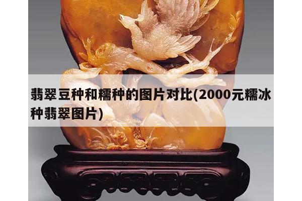 翡翠豆种和糯种的图片对比(2000元糯冰种翡翠图片)