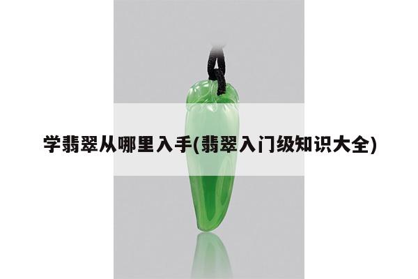学翡翠从哪里入手(翡翠入门级知识大全)