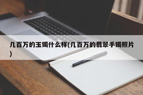 几百万的玉镯什么样(几百万的翡翠手镯照片)