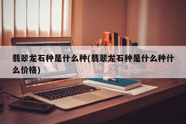 翡翠龙石种是什么种(翡翠龙石种是什么种什么价格)