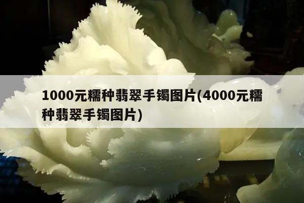 1000元糯种翡翠手镯图片(4000元糯种翡翠手镯图片)