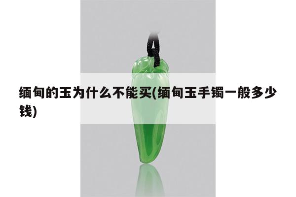 缅甸的玉为什么不能买(缅甸玉手镯一般多少钱)