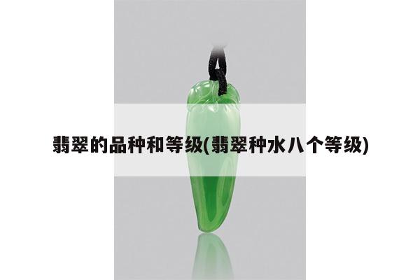 翡翠的品种和等级(翡翠种水八个等级)