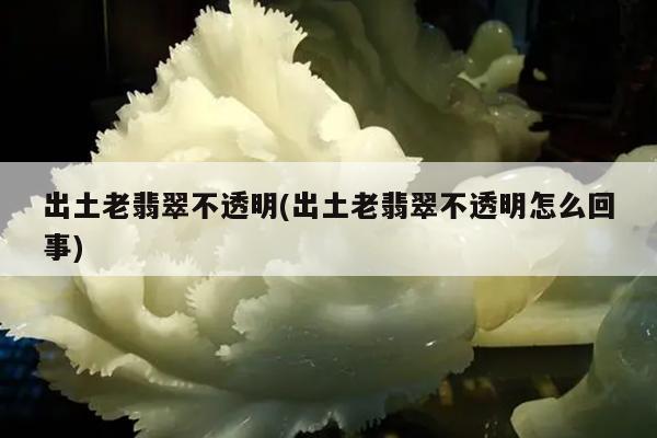 出土老翡翠不透明(出土老翡翠不透明怎么回事)