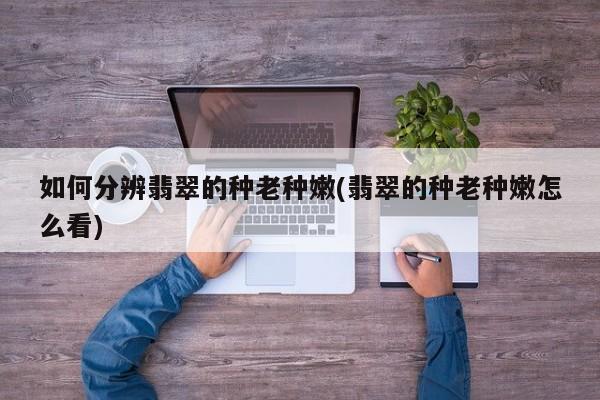 如何分辨翡翠的种老种嫩(翡翠的种老种嫩怎么看)