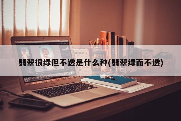 翡翠很绿但不透是什么种(翡翠绿而不透)
