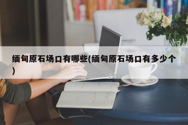 缅甸原石场口有哪些(缅甸原石场口有多少个)