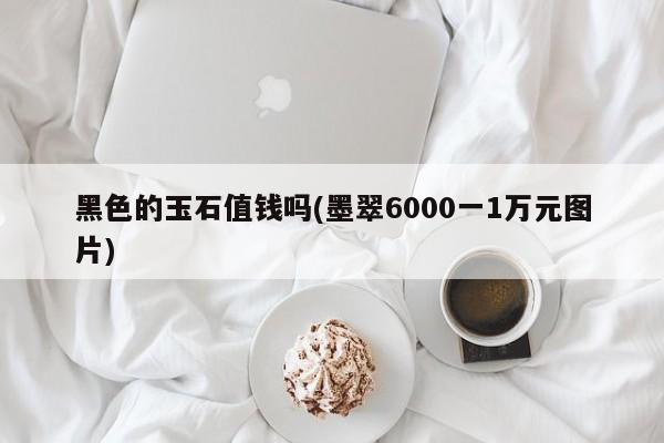 黑色的玉石值钱吗(墨翠6000一1万元图片)