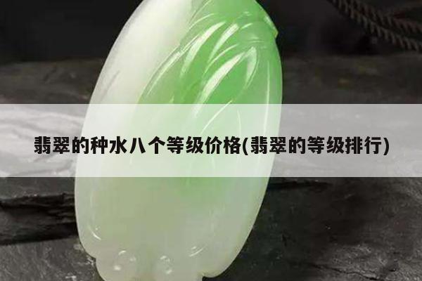 翡翠的种水八个等级价格(翡翠的等级排行)