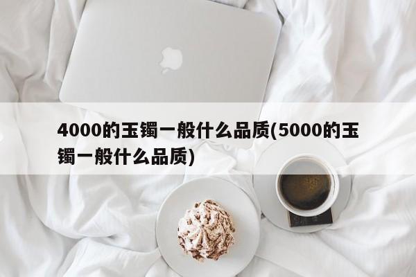 4000的玉镯一般什么品质(5000的玉镯一般什么品质)