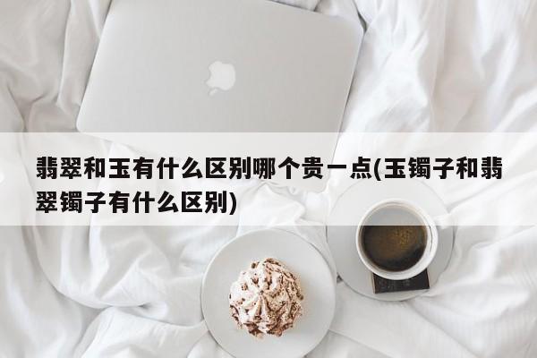 翡翠和玉有什么区别哪个贵一点(玉镯子和翡翠镯子有什么区别)