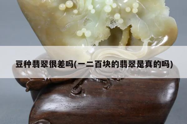 豆种翡翠很差吗(一二百块的翡翠是真的吗)