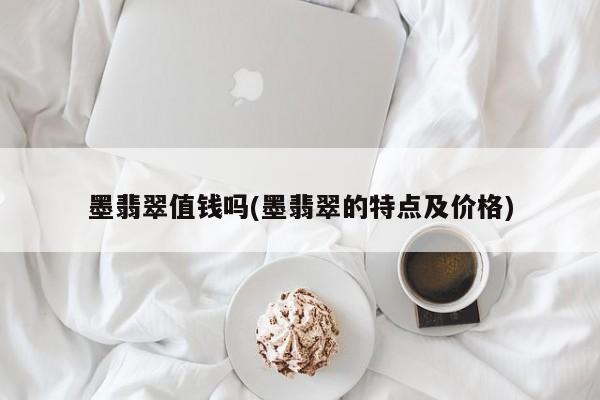 墨翡翠值钱吗(墨翡翠的特点及价格)