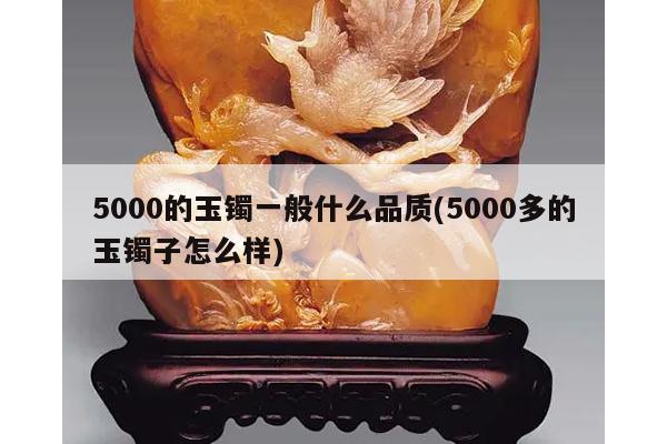5000的玉镯一般什么品质(5000多的玉镯子怎么样)