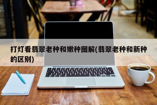 打灯看翡翠老种和嫩种图解(翡翠老种和新种的区别)