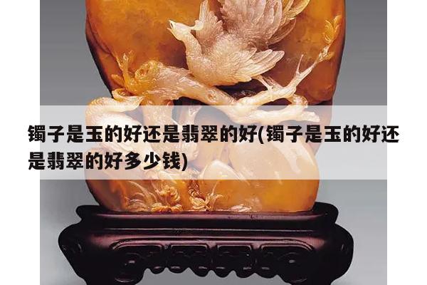 镯子是玉的好还是翡翠的好(镯子是玉的好还是翡翠的好多少钱)