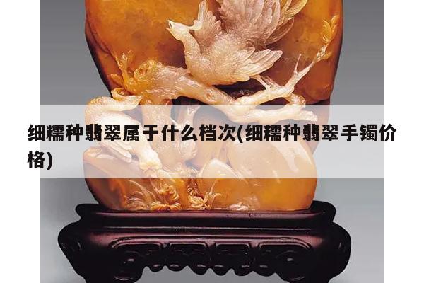 细糯种翡翠属于什么档次(细糯种翡翠手镯价格)