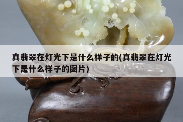 真翡翠在灯光下是什么样子的(真翡翠在灯光下是什么样子的图片)