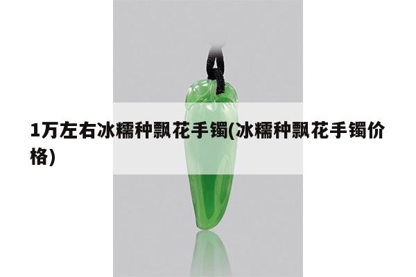1万左右冰糯种飘花手镯(冰糯种飘花手镯价格)