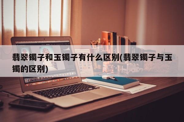 翡翠镯子和玉镯子有什么区别(翡翠镯子与玉镯的区别)