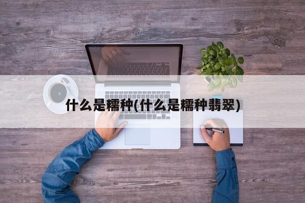 什么是糯种(什么是糯种翡翠)