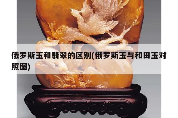 俄罗斯玉和翡翠的区别(俄罗斯玉与和田玉对照图)